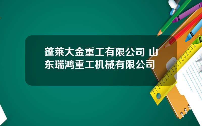 蓬莱大金重工有限公司 山东瑞鸿重工机械有限公司